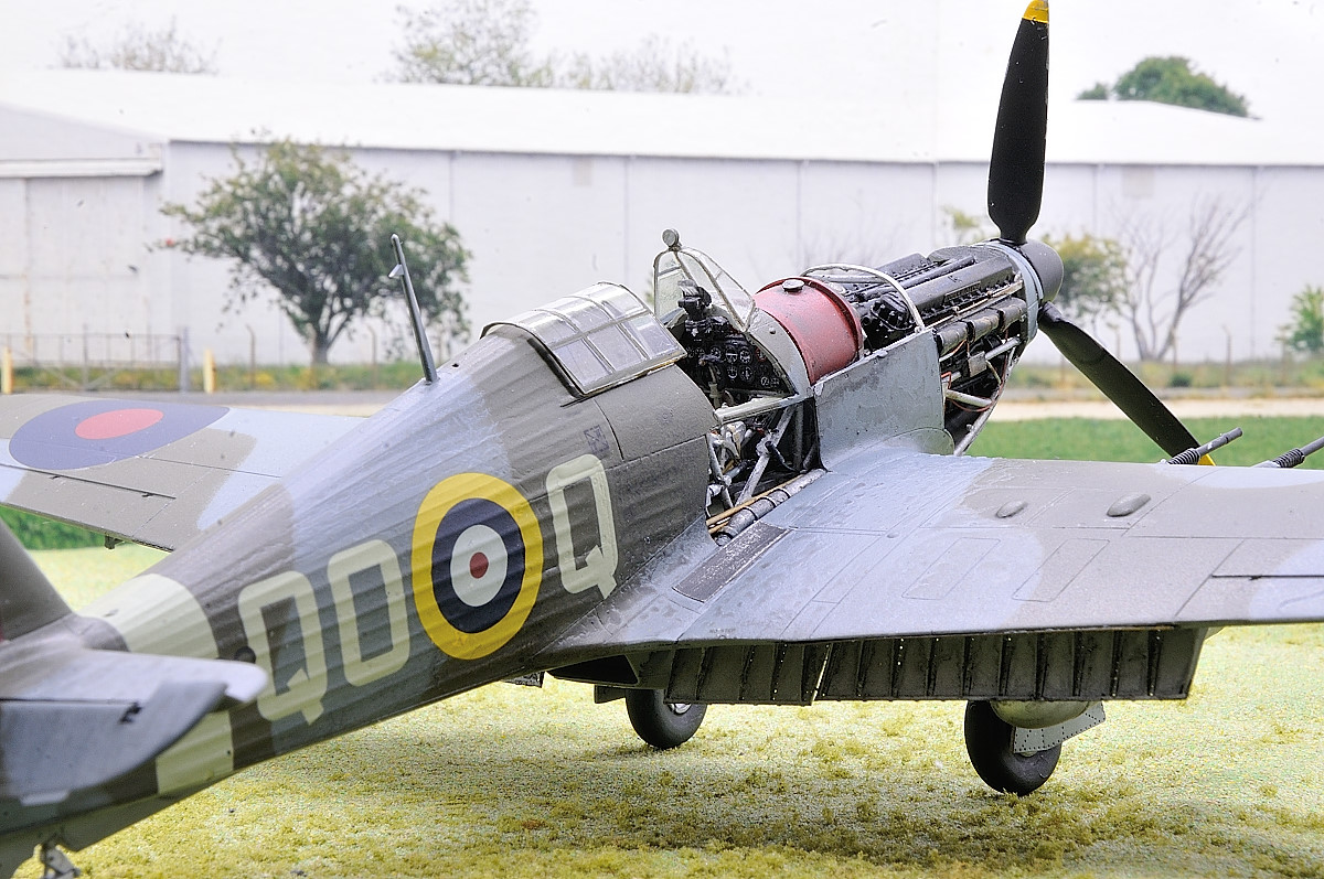 DSC_1184.JPG DSC_1184.JPG