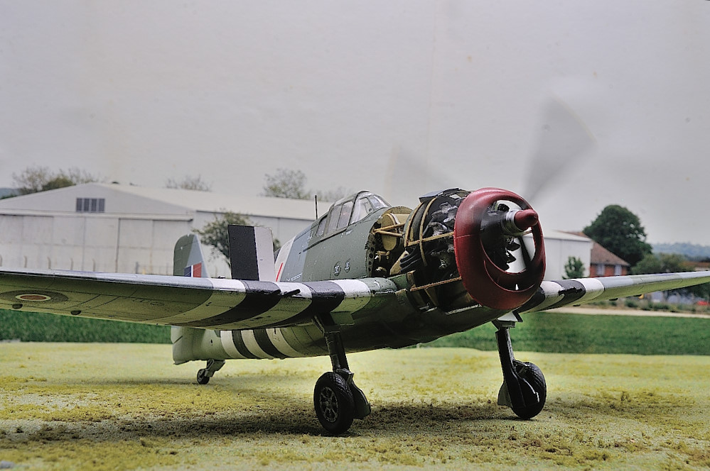 DSC_1349.JPG DSC_1349.JPG