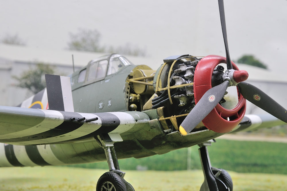 DSC_1358.JPG