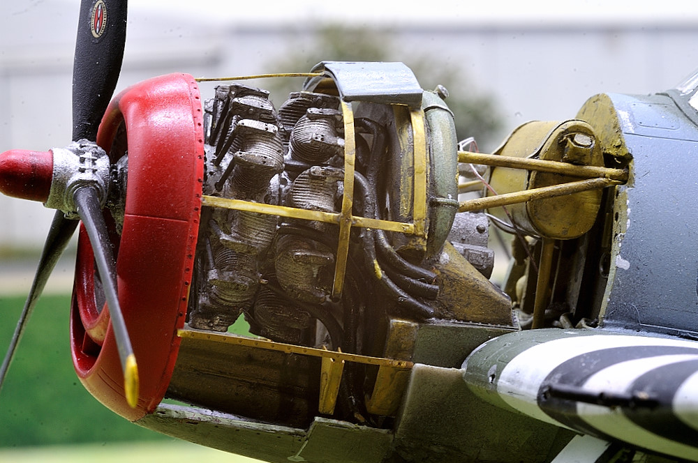 DSC_1367.JPG DSC_1367.JPG