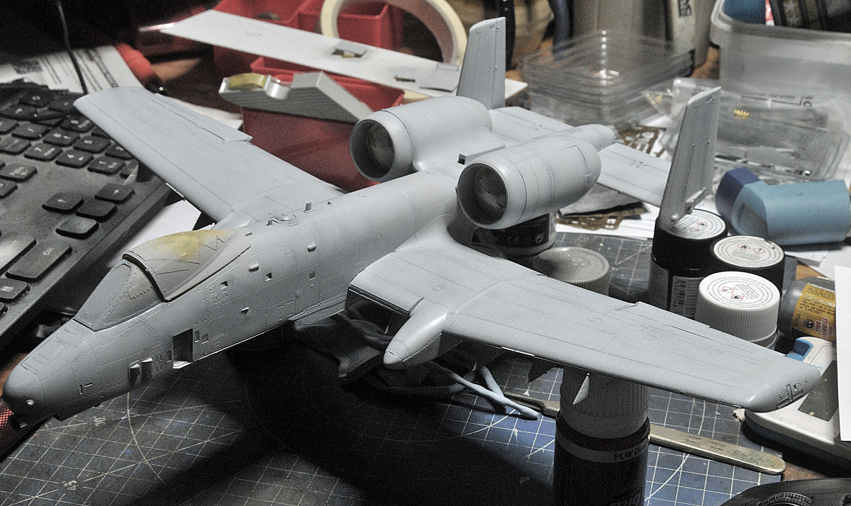 DSC_4572.JPG