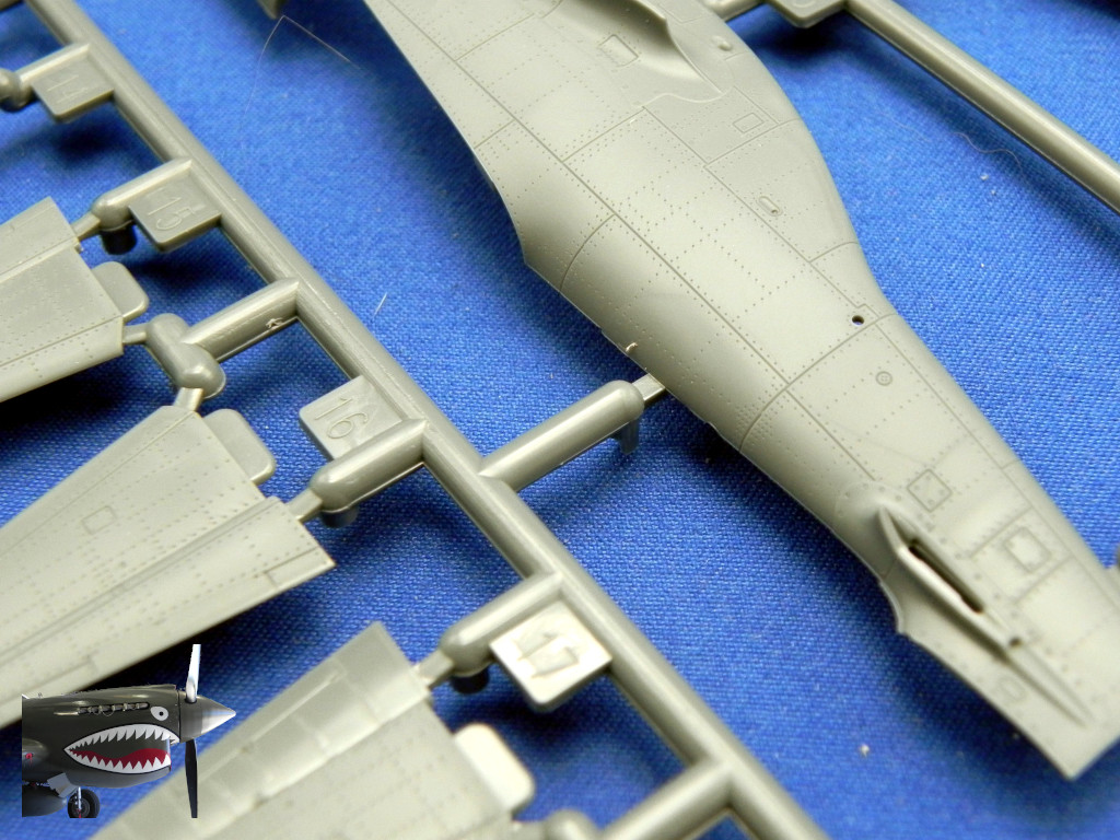 Eduard70171xSprueCxDetails01.JPG Eduard70171xSprueCxDetails01.JPG