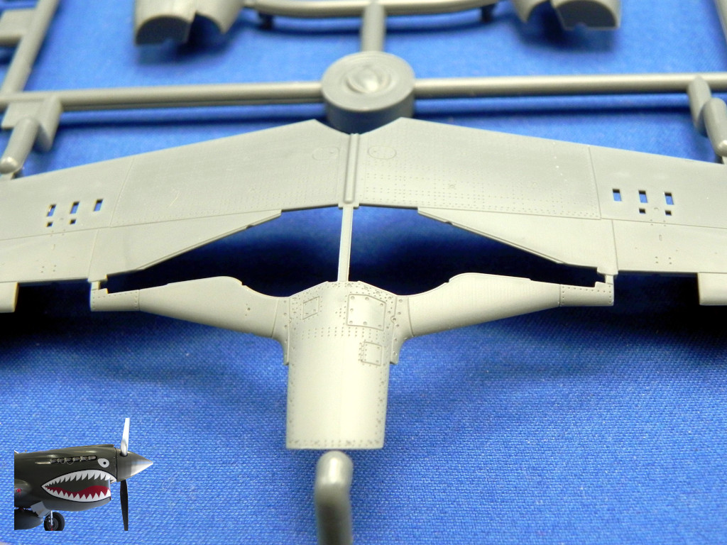 Eduard70171xSprueCxDetails03.JPG Eduard70171xSprueCxDetails03.JPG