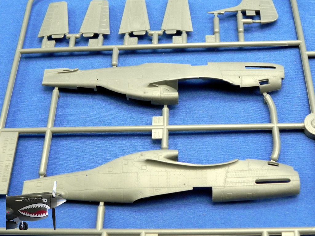 Eduard70171xSprueCxDetails05.JPG Eduard70171xSprueCxDetails05.JPG