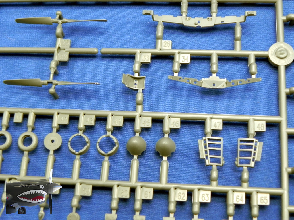 Eduard70171xSprueEDetails04.JPG Eduard70171xSprueEDetails04.JPG