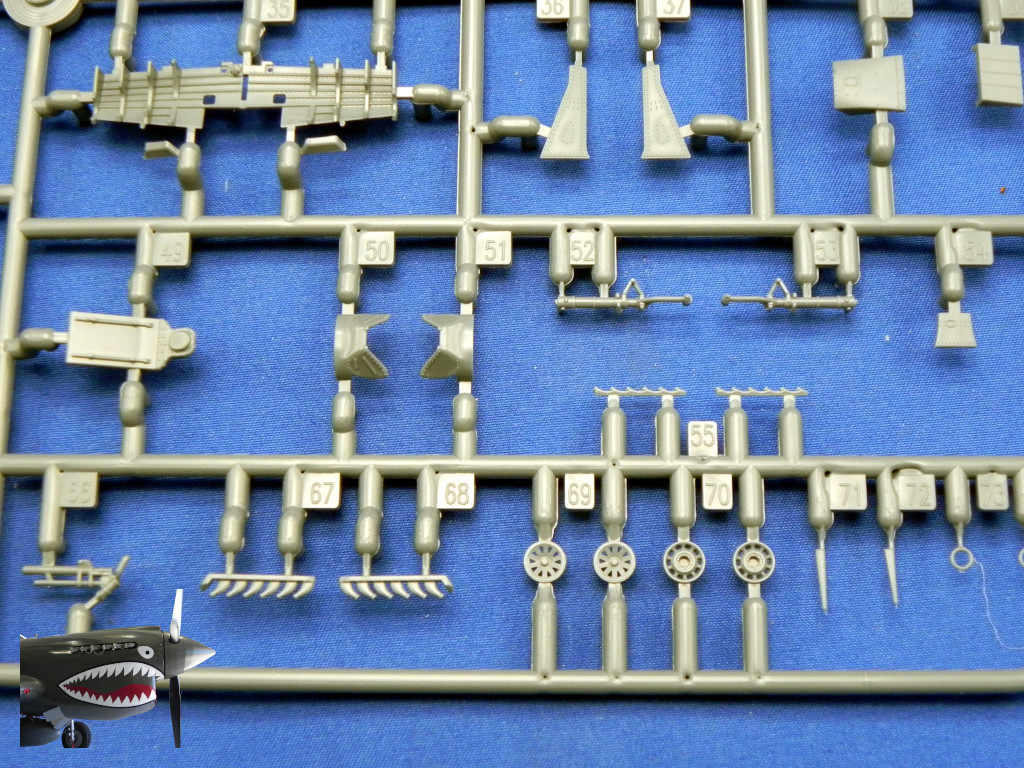 Eduard70171xSprueEDetails06.JPG Eduard70171xSprueEDetails06.JPG