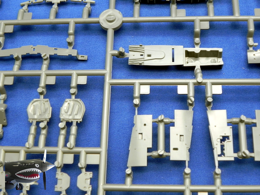 Eduard70171xSprueEDetails07.JPG Eduard70171xSprueEDetails07.JPG