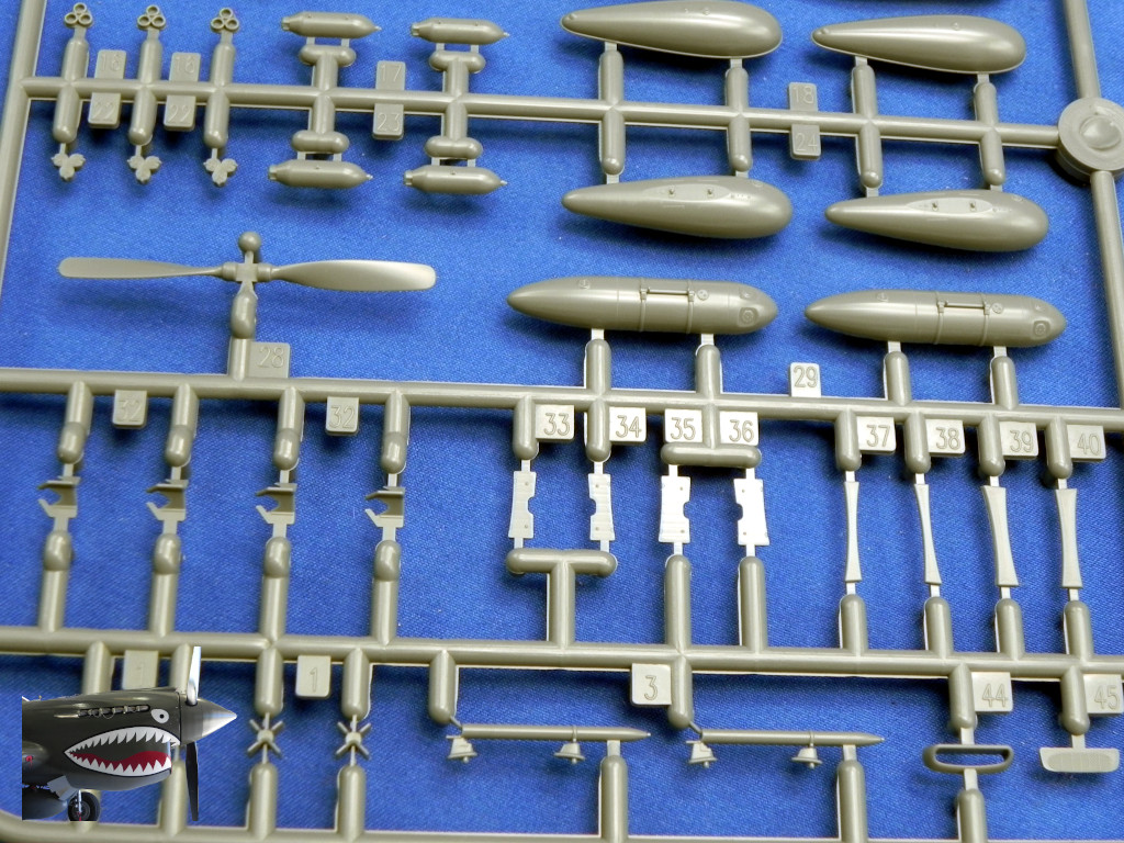 Eduard70171xSprueFdetails03.JPG Eduard70171xSprueFdetails03.JPG