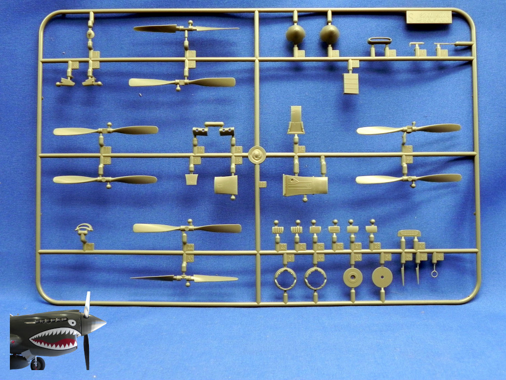 Eduard82107xSprueS.JPG