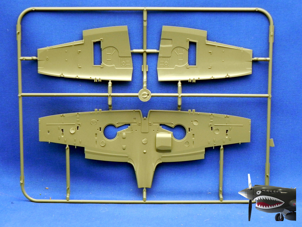 Eduard82158XSpitfireVcOverTreesSprueTreeN2.JPG