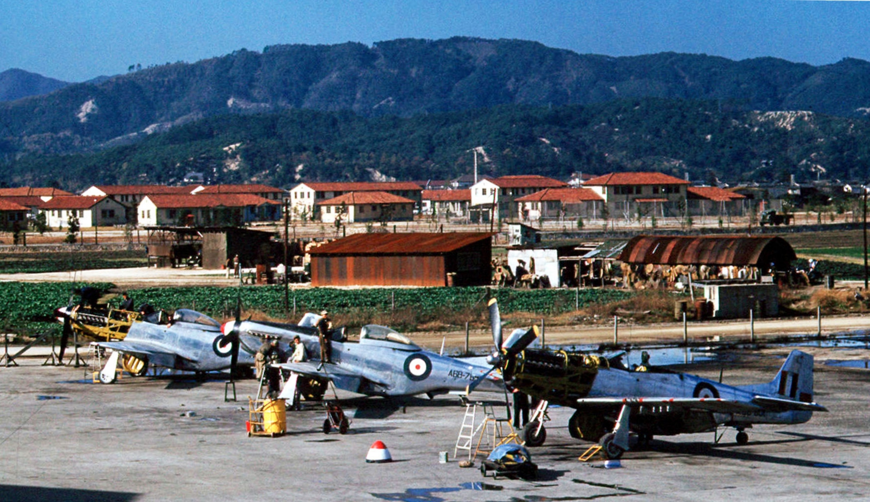 F-51Ds_77_Sqn_RAAF_at_Iwakuni_c1950.jpg