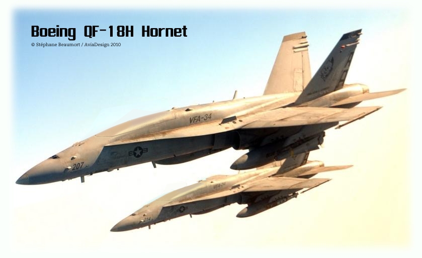 F_18.jpeg