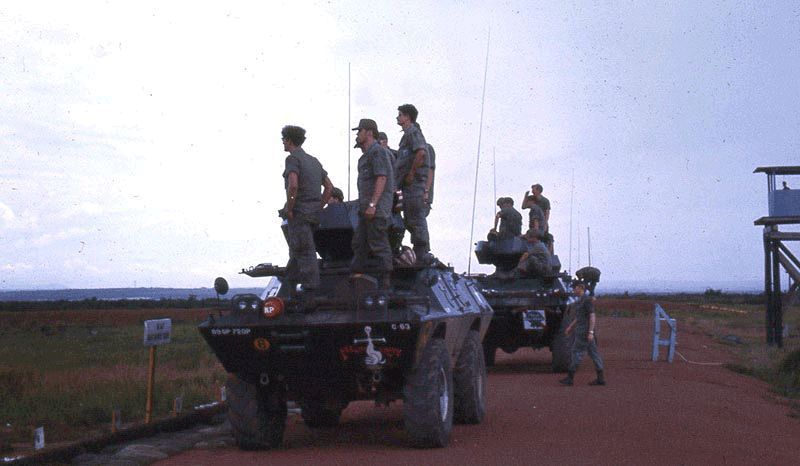 Feeling Groovy and Pabst Blue Ribbon.jpg