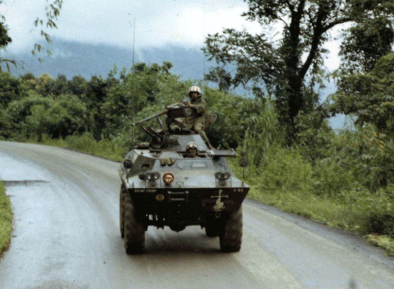 Feeling Groovy g2192.jpg