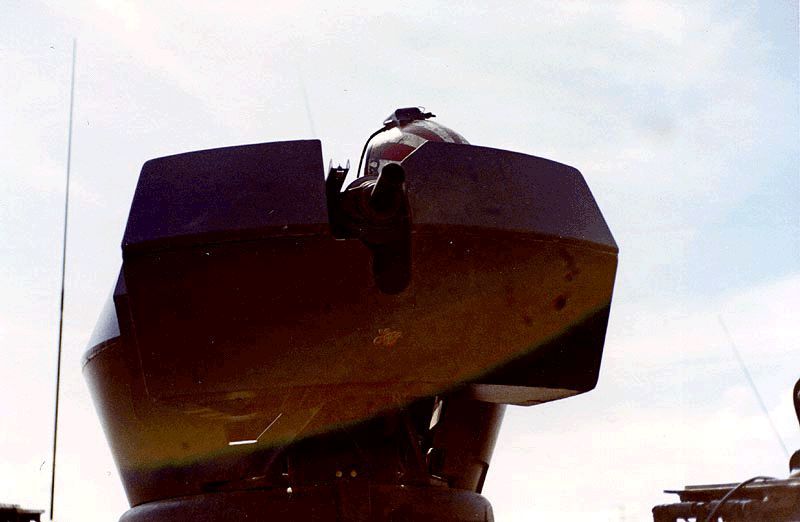 Feeling Groovy g2198.jpg