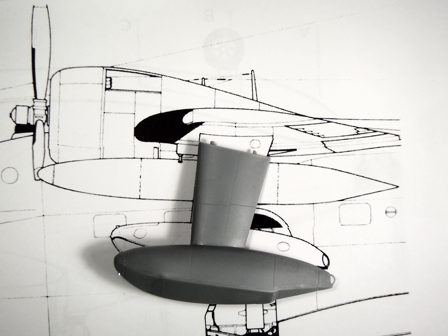 float 1.jpg
