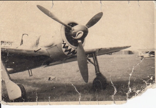 Fw 190A-3 shark.jpg