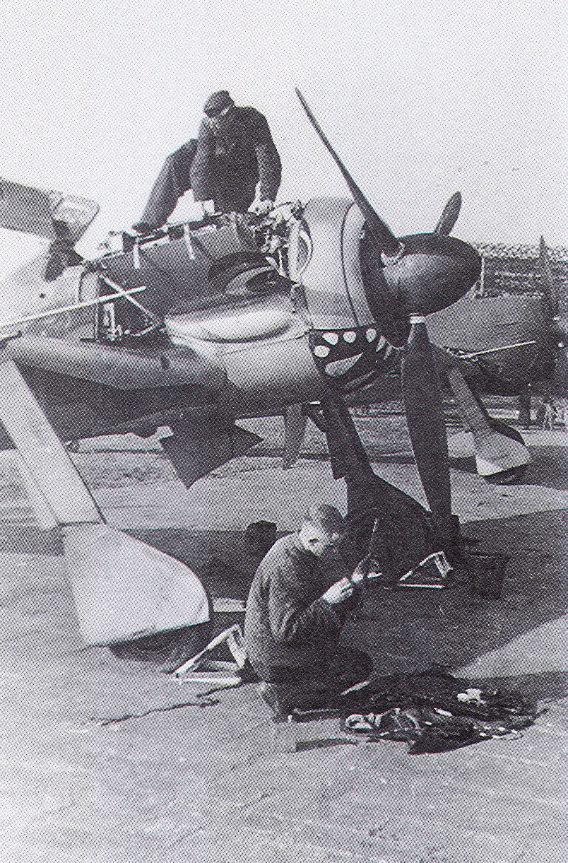 Fw-190A-7.JG1-Harry-Koch-France-1942-02.jpg