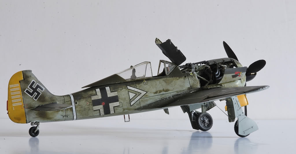 FW19034.jpg FW19034.jpg