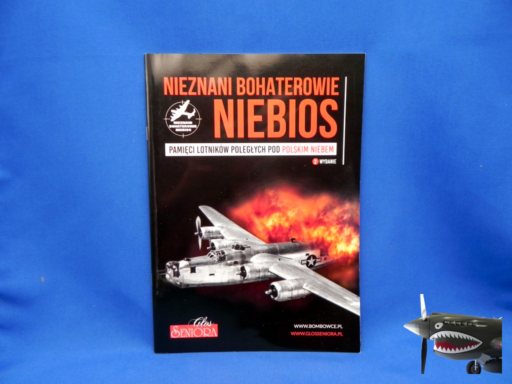 Glos Sentora Nieznani Bohaterowie Niebos Air Wrecks over Poland.JPG