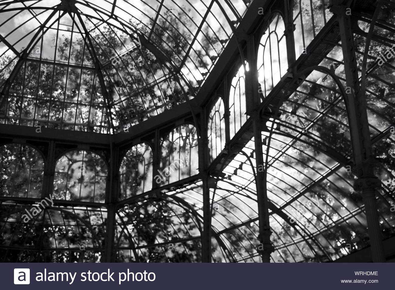greenhouse1.jpg