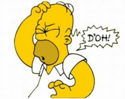 homer_doh_sm.jpg