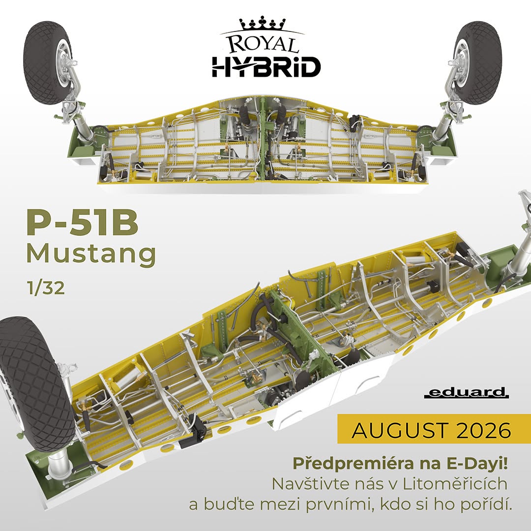 Hybrjid P-51b-1.jpg