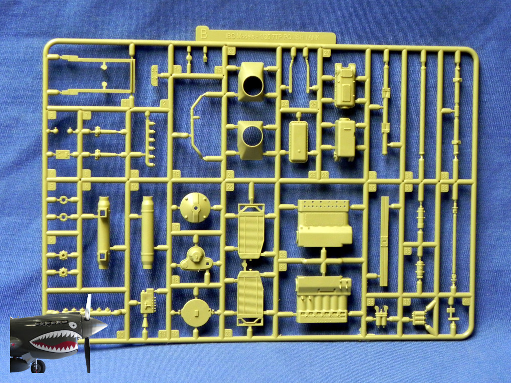 IBG7TP35074LSprueBFront.JPG