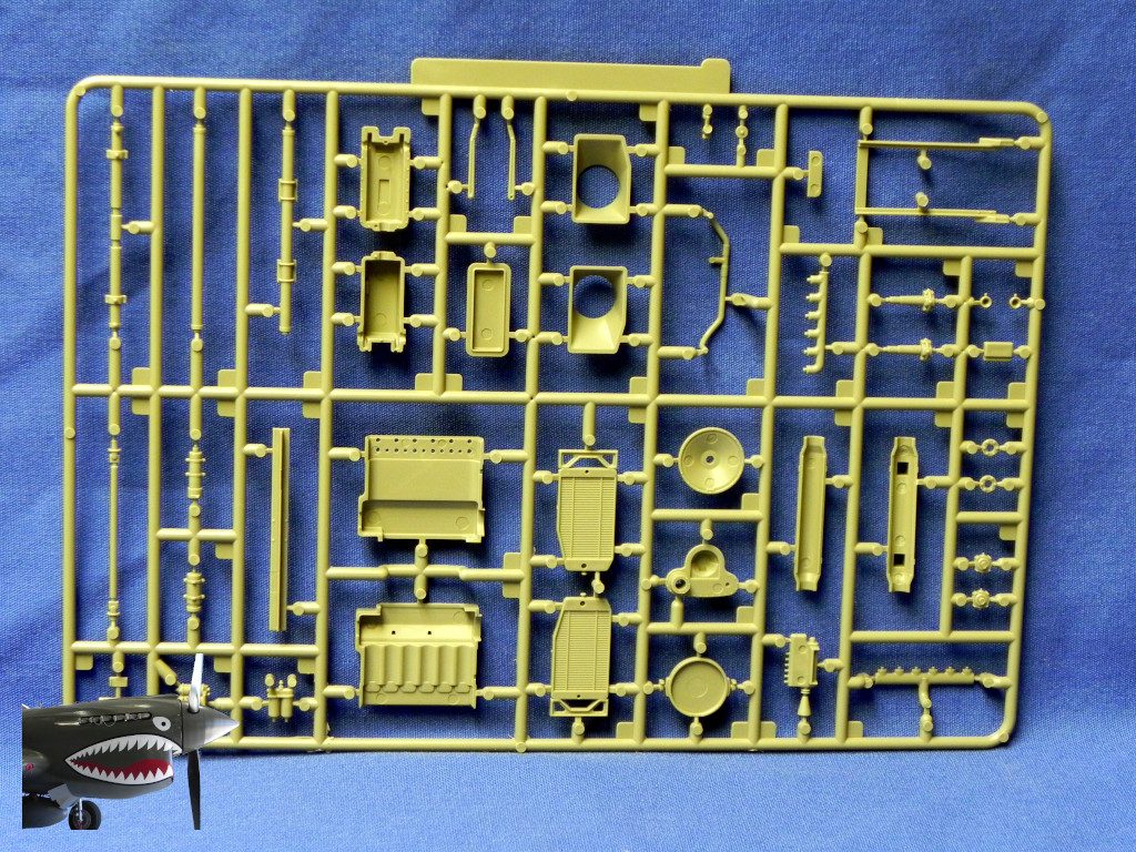 IBG7TP35074LSprueBRear.JPG
