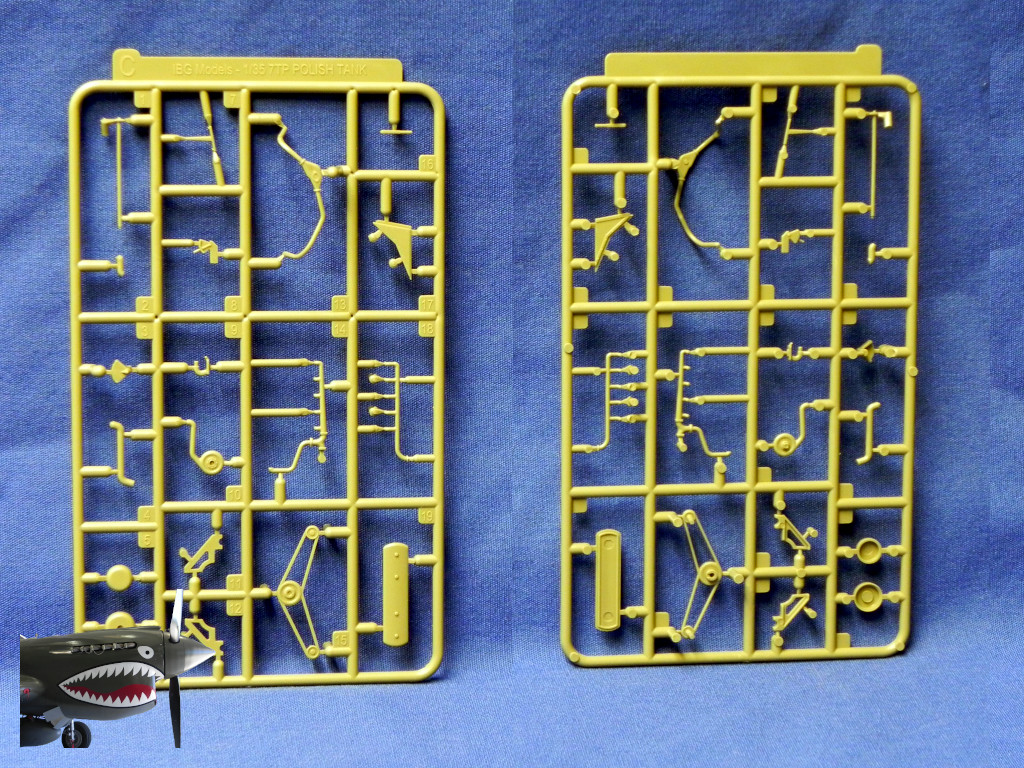 IBG7TP35074LSprueC.JPG