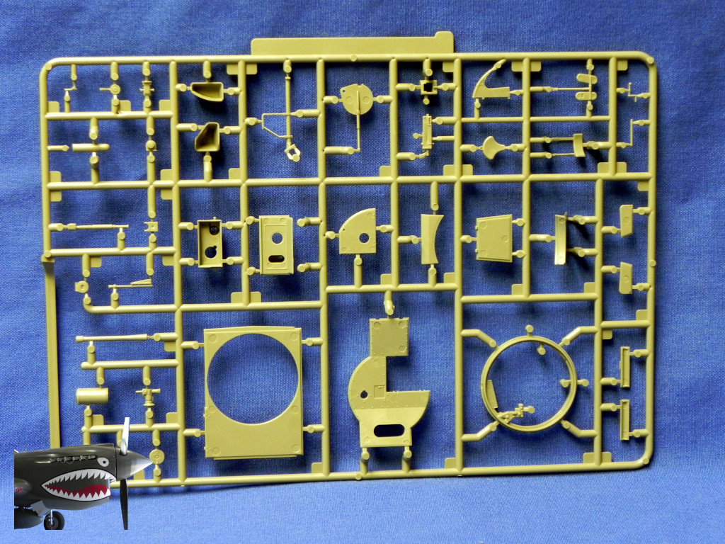 IBG7TP35074LSprueFRear.JPG