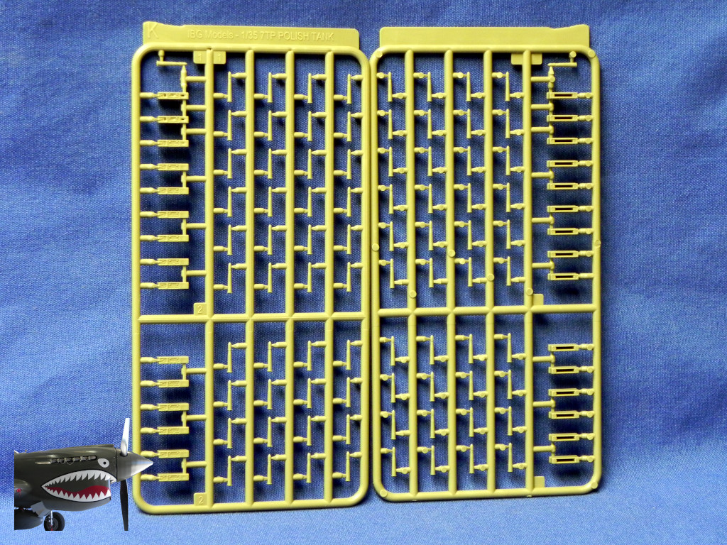 IBG7TP35074LSprueK.JPG