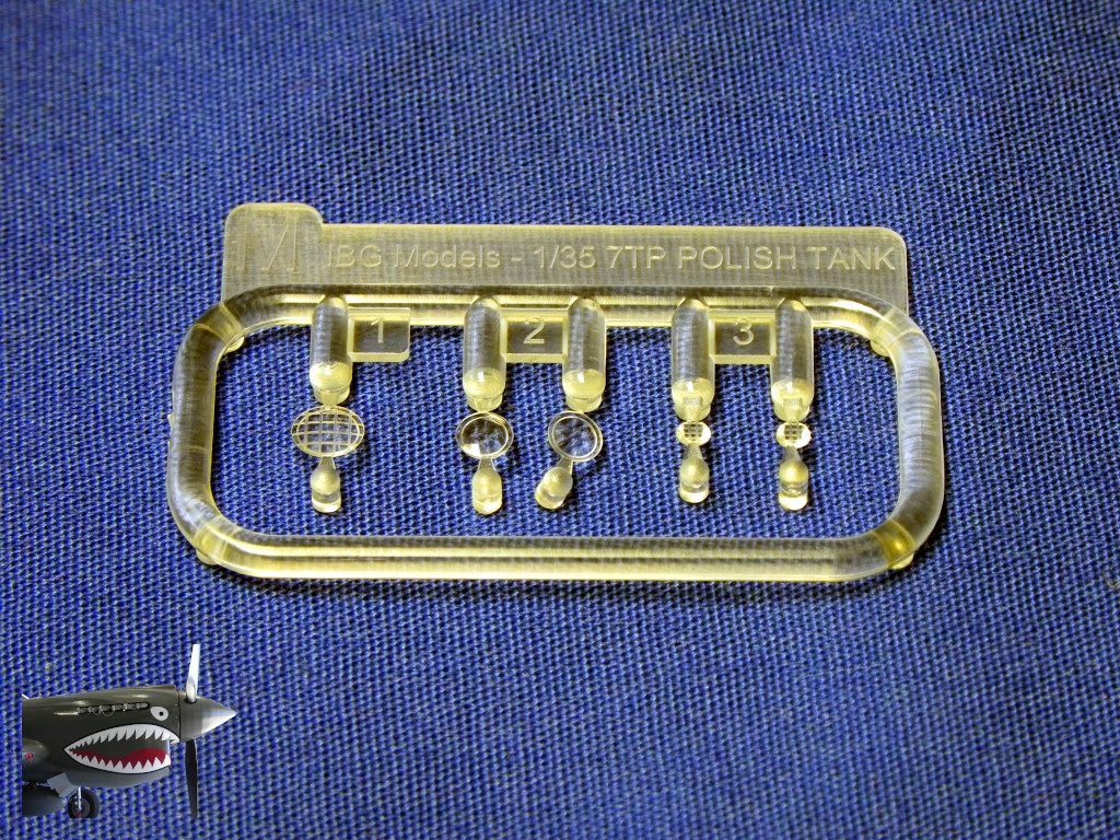 IBG7TP35074LSprueM.JPG
