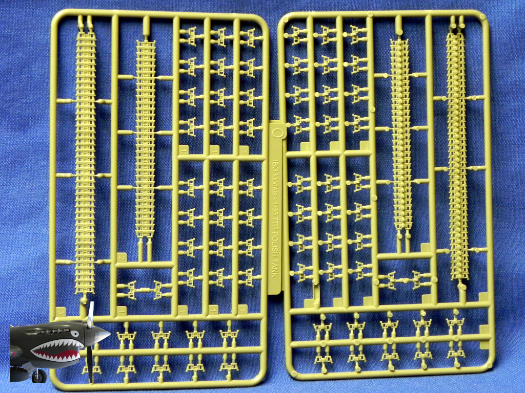 IBG7TP35074LSprueO.JPG