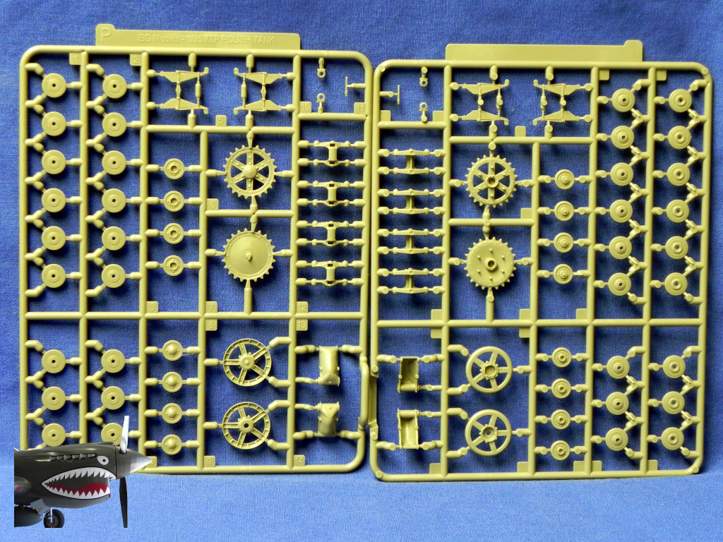 IBG7TP35074LSprueP.JPG