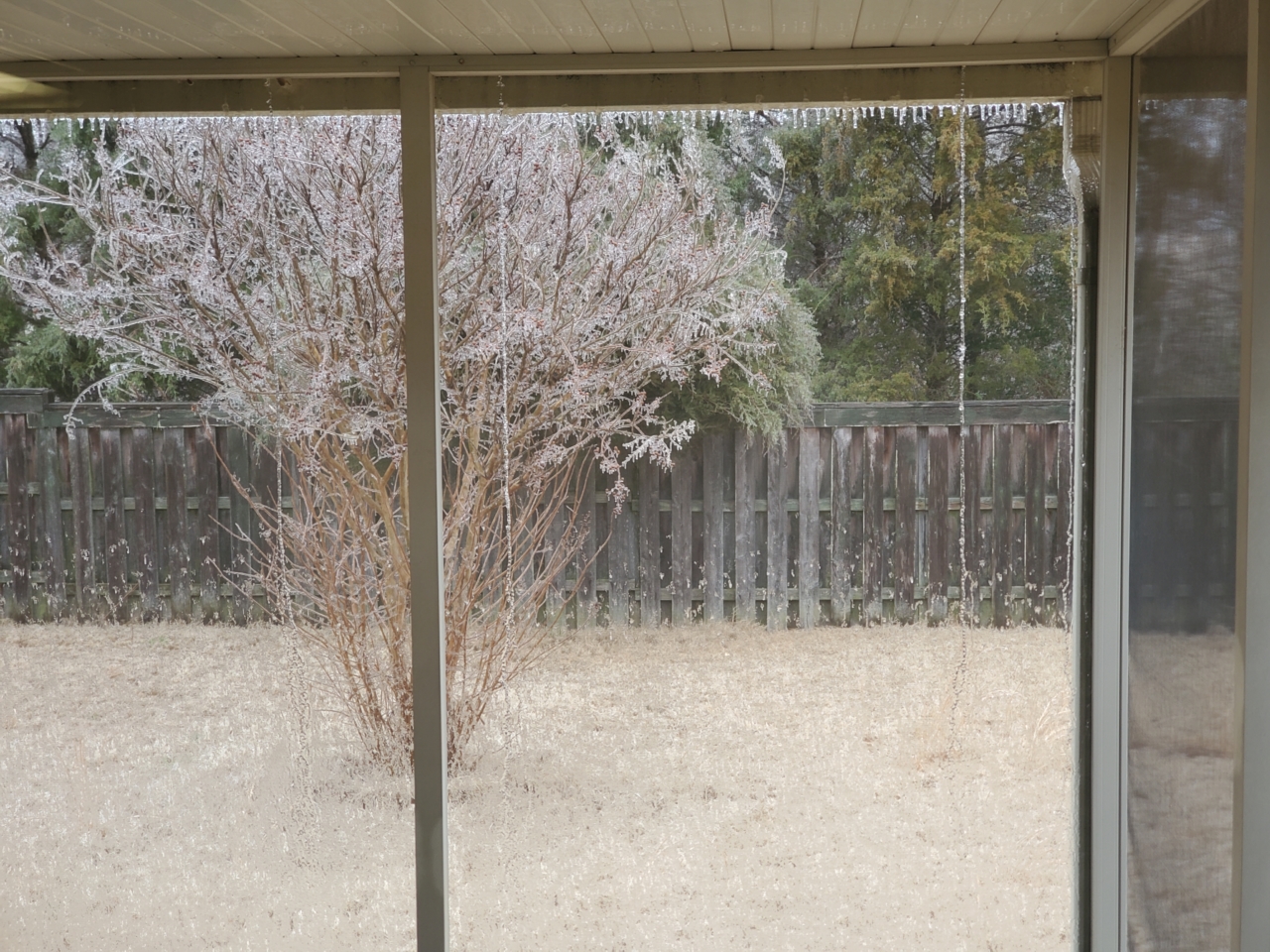 Ice 2-11-2021a.jpg