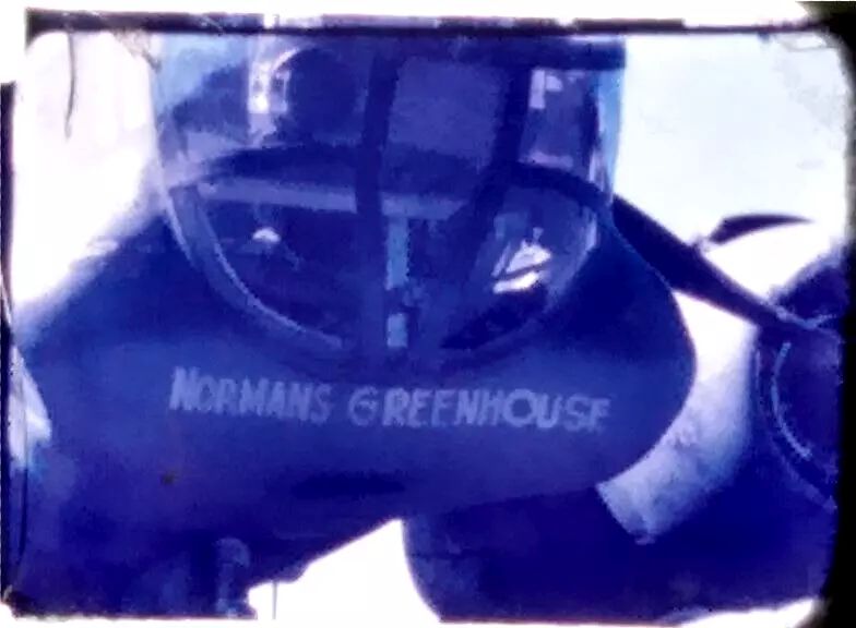 II nose Normans Greenhouse.jpg