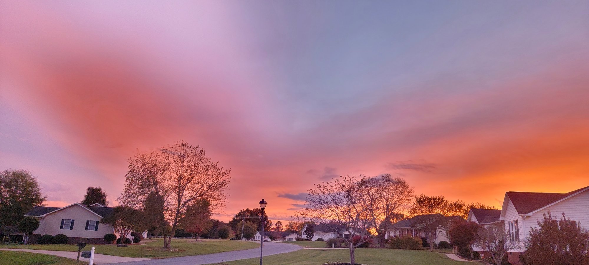 IMG_2236.JPG IMG_2236.JPG