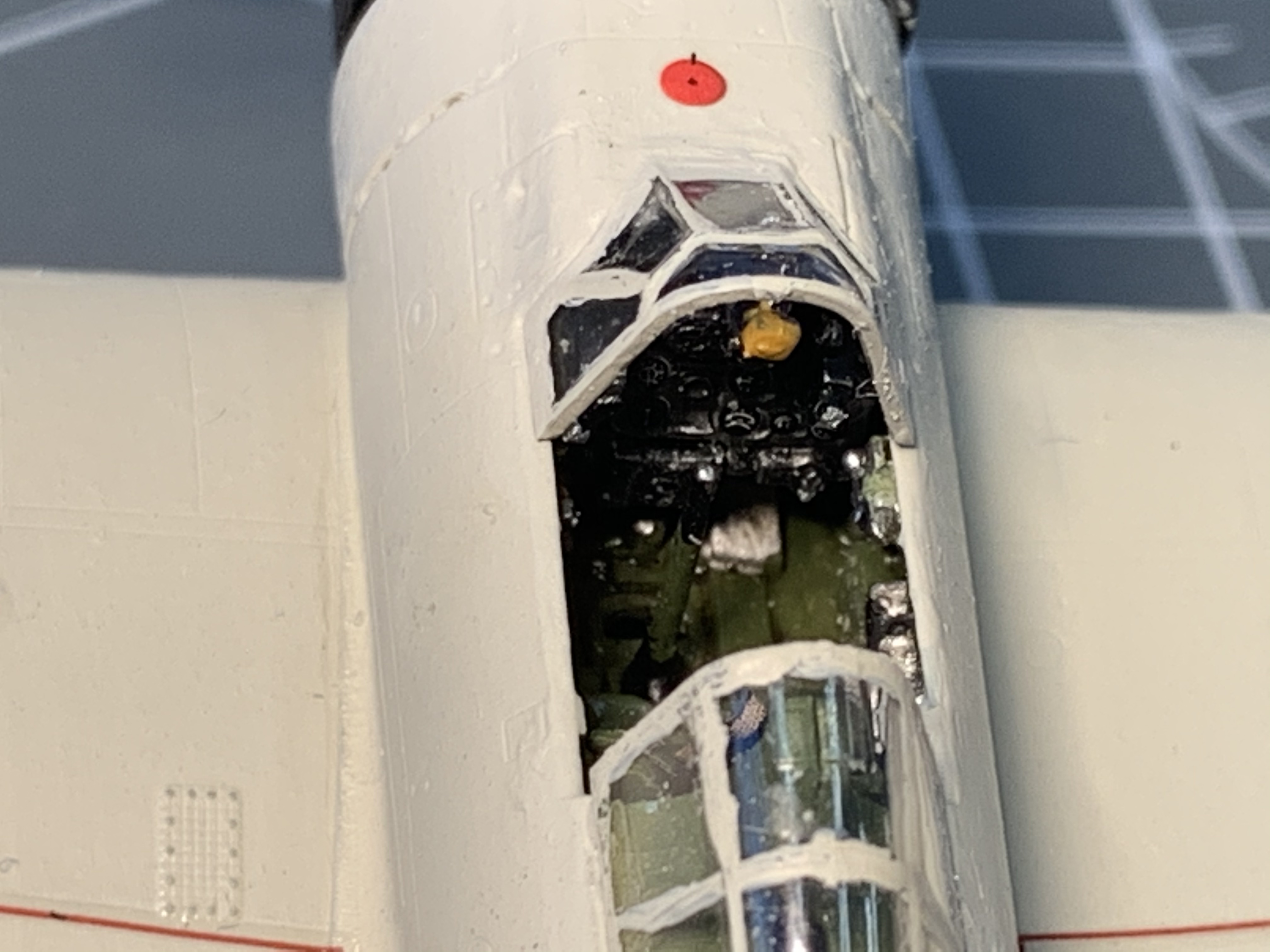 IMG_4100.jpg IMG_4100.jpg