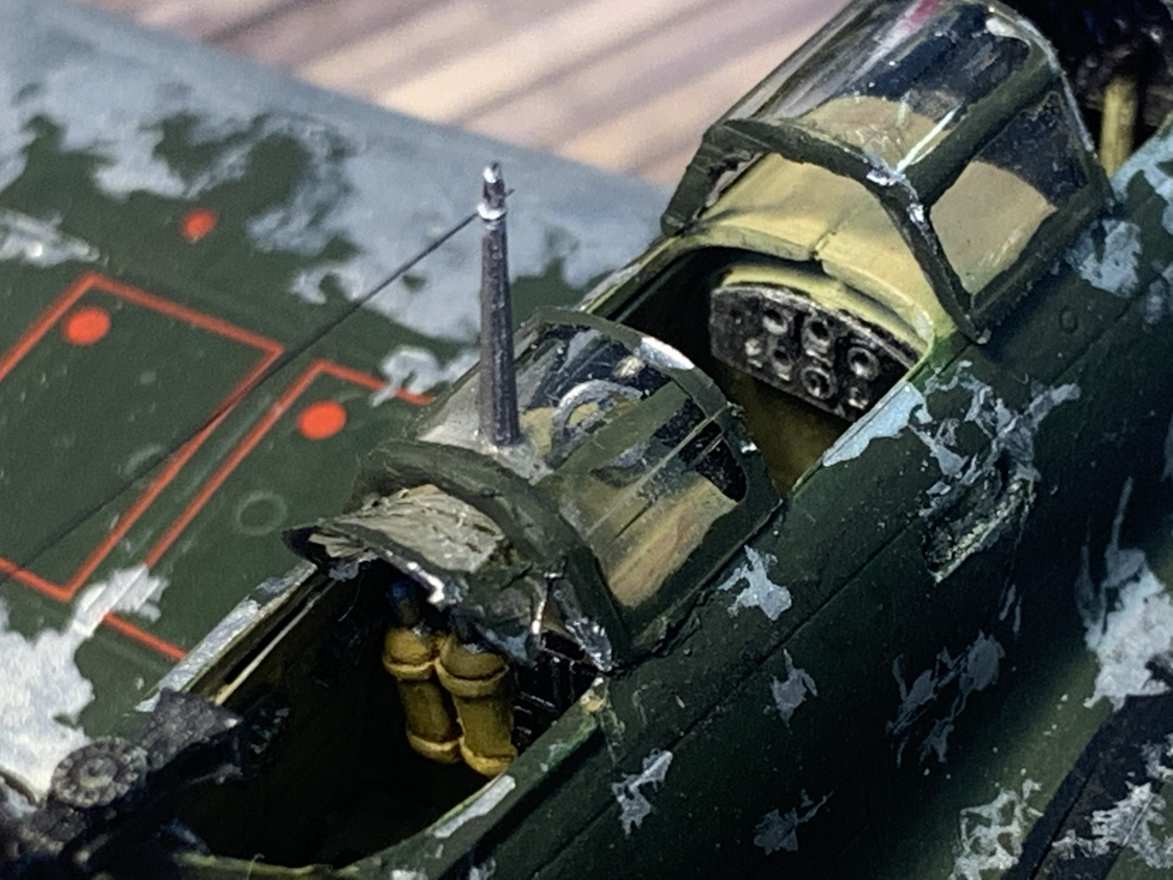 IMG_4130.jpg IMG_4130.jpg