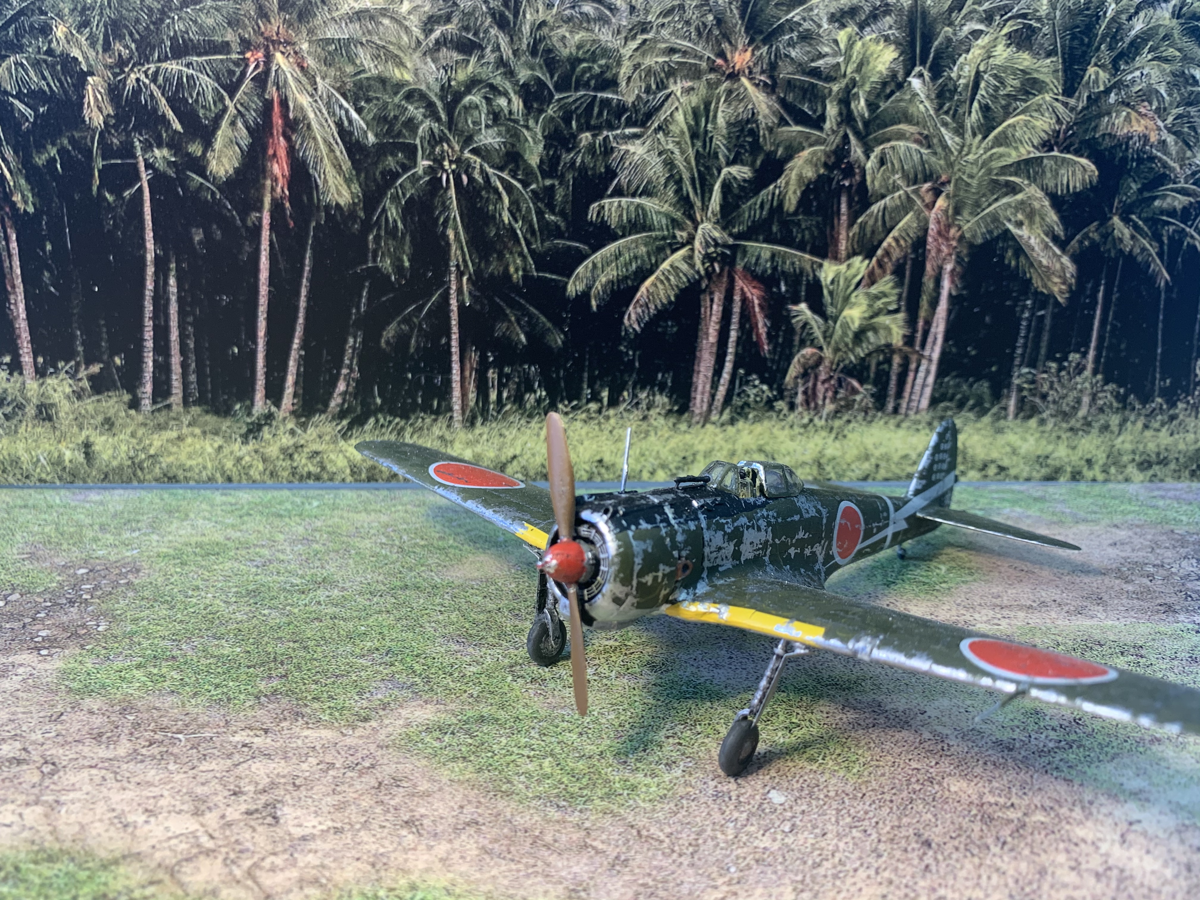 IMG_4133.jpg IMG_4133.jpg