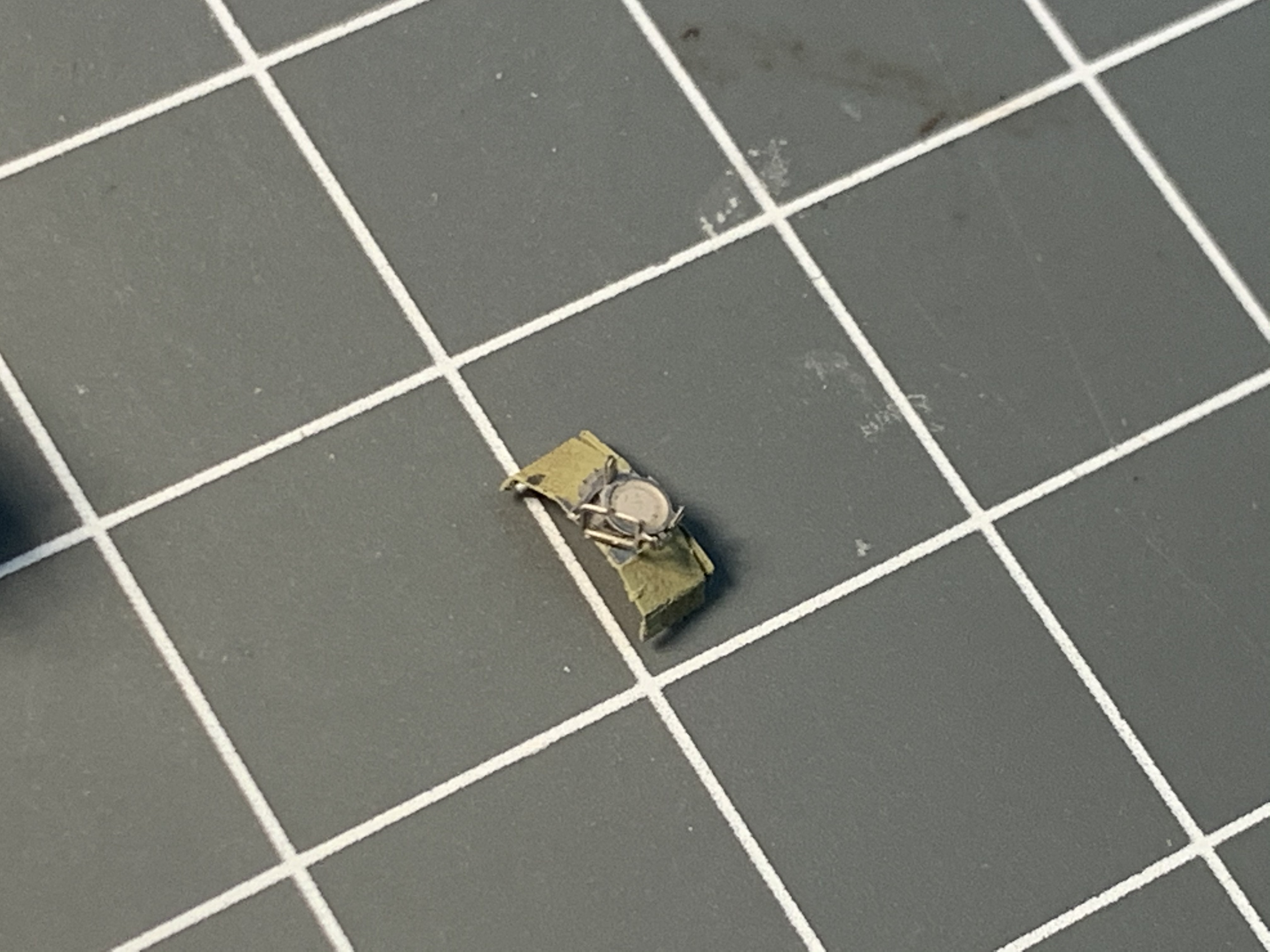 IMG_4320.jpg IMG_4320.jpg