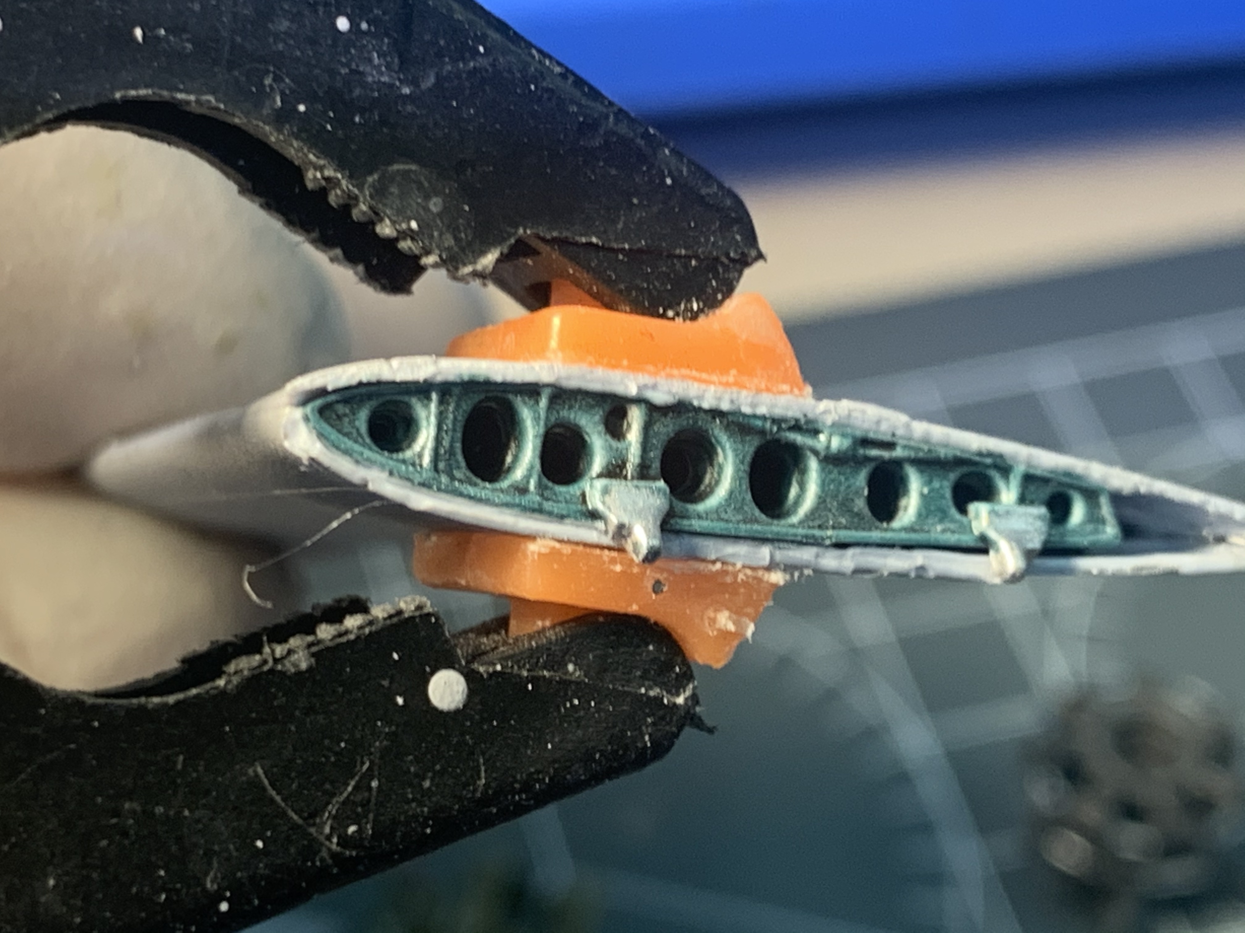 IMG_4342.jpg IMG_4342.jpg