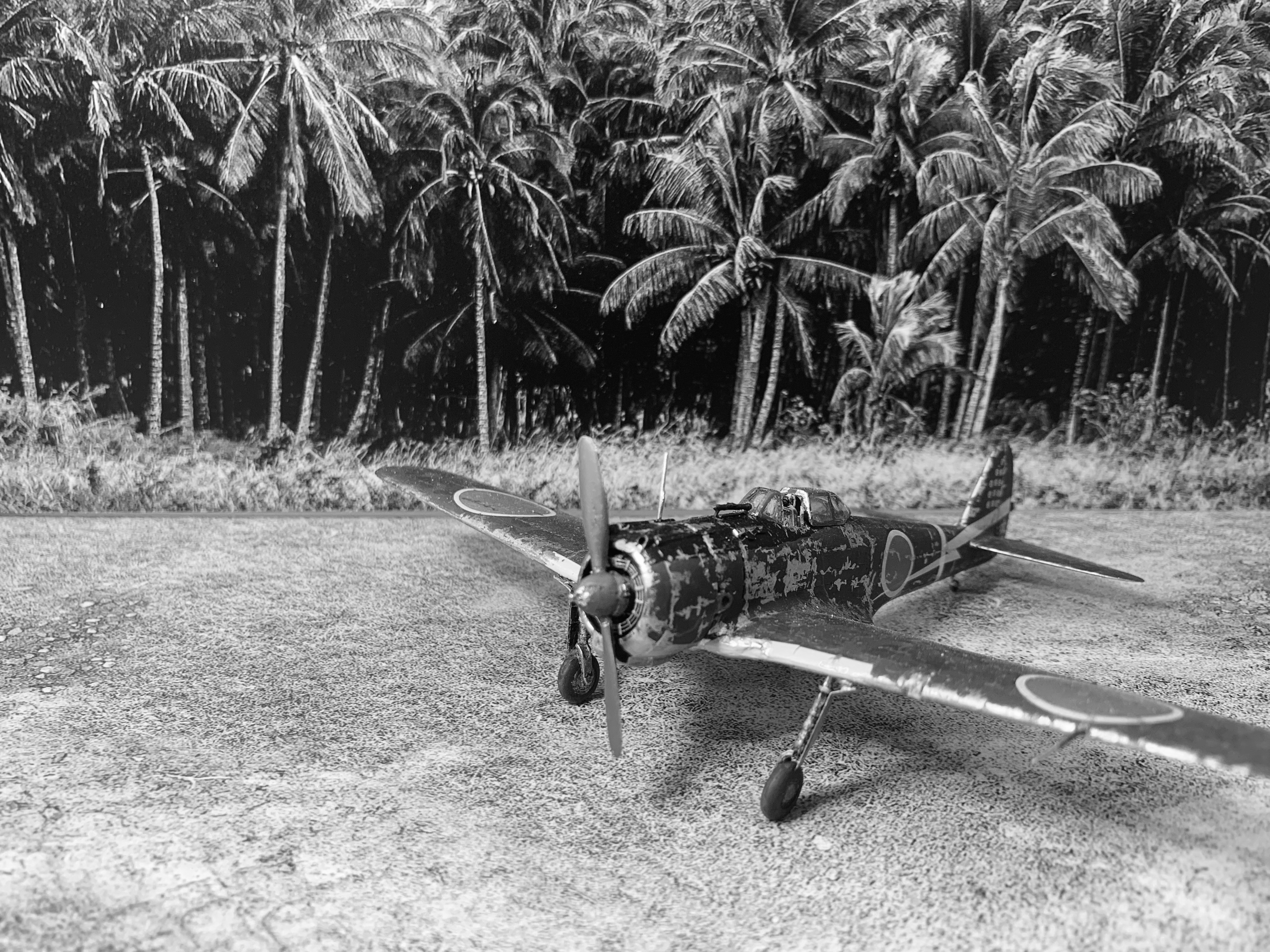 IMG_E4133.JPG IMG_E4133.JPG