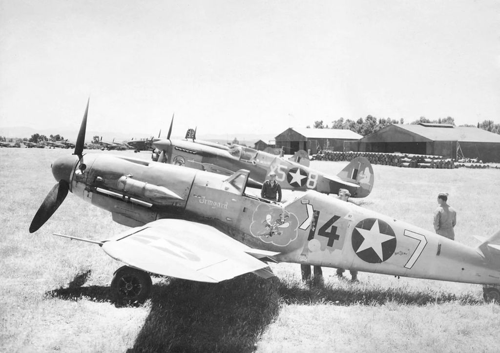 Irmgard 12.jpg
