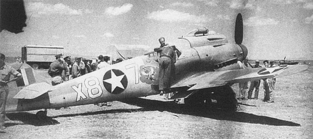 Irmgard 9.jpg