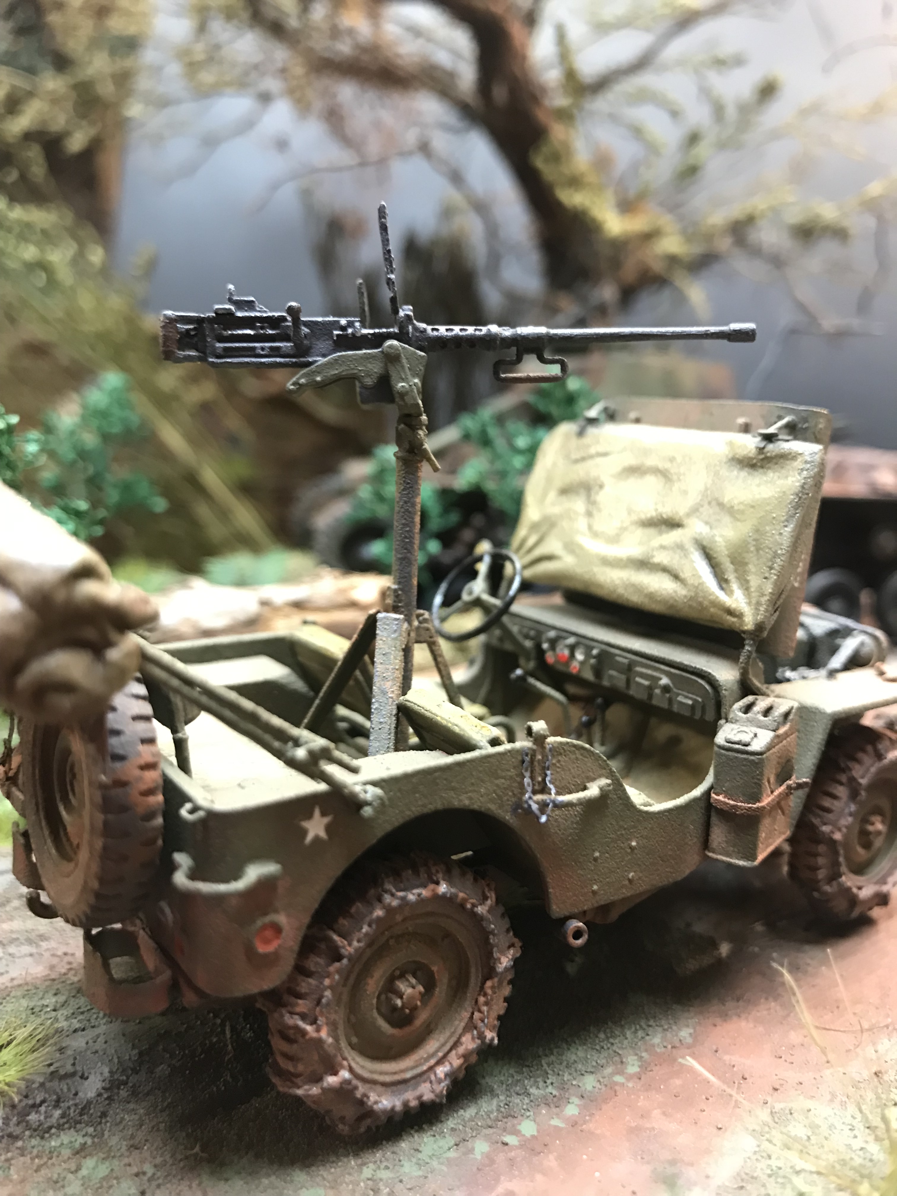 j25.jpg