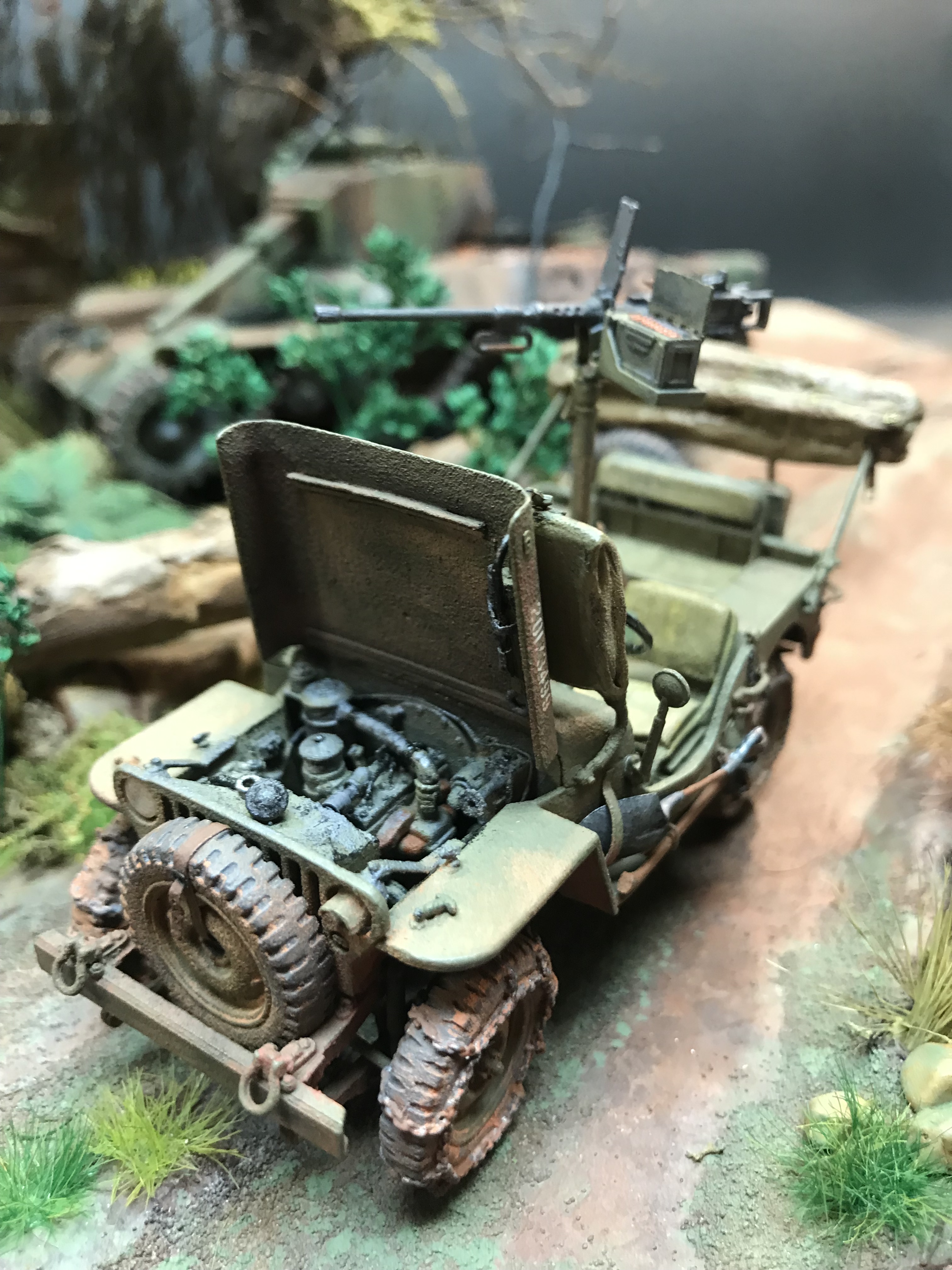jp50.jpg