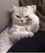 Just let me think.jpg