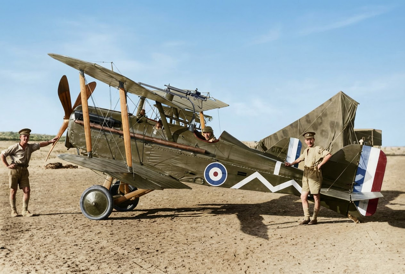 large_000000-100-model1.jpg